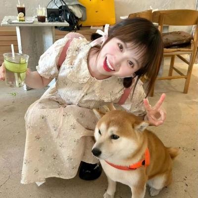 东墙飘香梦